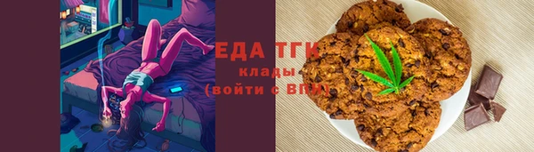 индика Вязьма