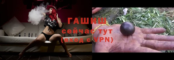 индика Вязьма