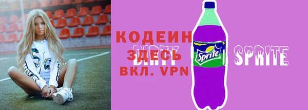 индика Нея