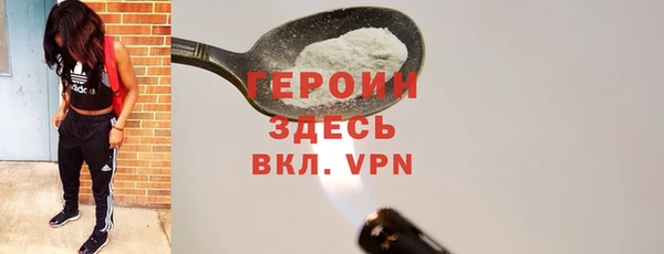 индика Вязьма