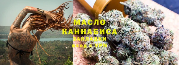 индика Вязьма