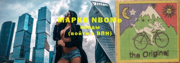 индика Вязьма