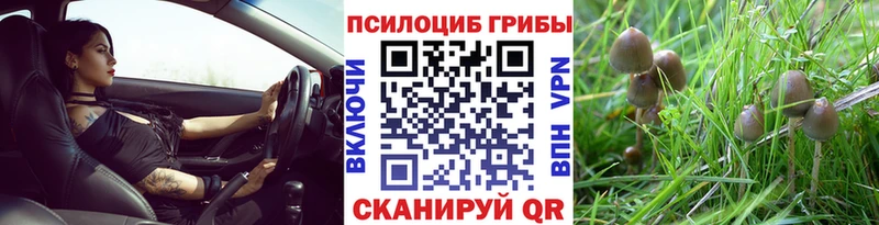 Псилоцибиновые грибы мицелий Певек